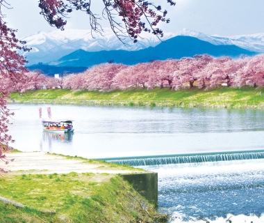 Du lịch Nhật Bản - Những chuyến tàu dưới tán anh đào