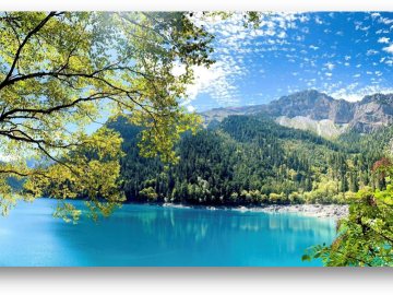 CỬU TRẠI CÂU 6N5Đ